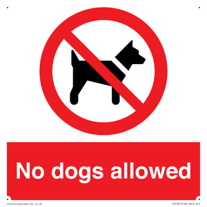 No dogs allowed